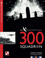 300 Squadron
